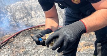 Kocaeli İtfaiyesi’nin kaplumbağaya uzattığı su yürekleri ısıttı