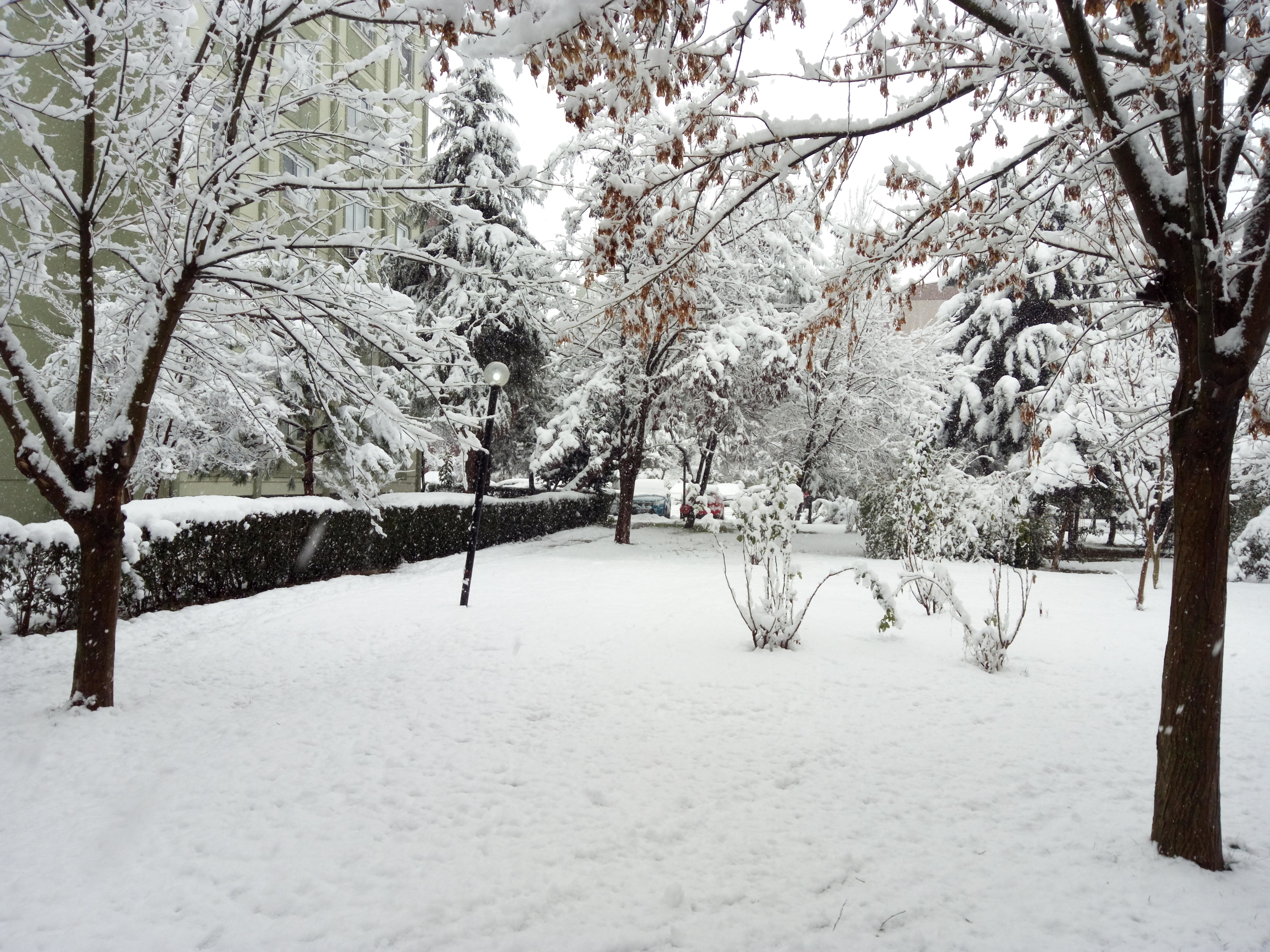 Kocaeli'den kar manzaraları