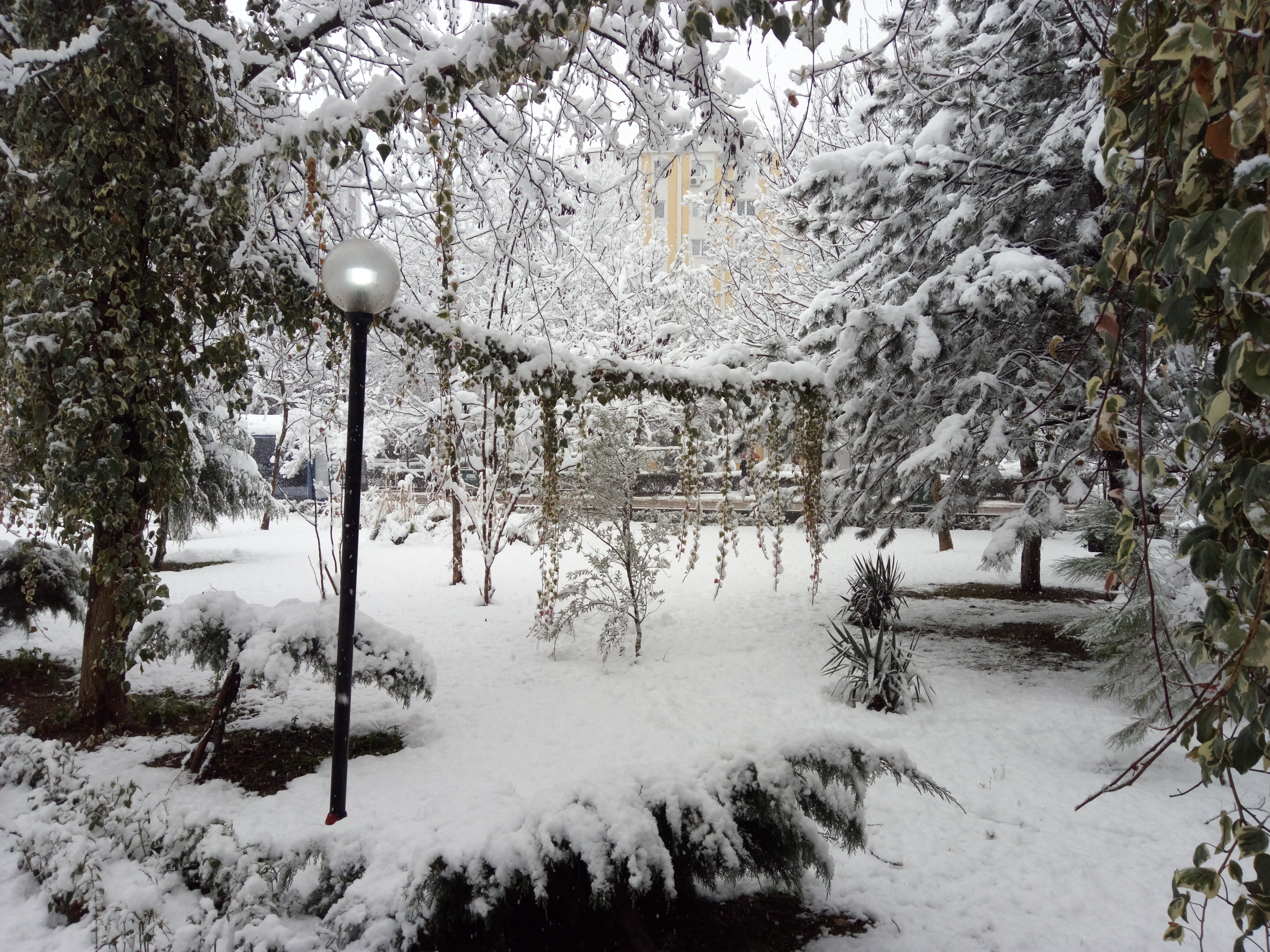 Kocaeli'den kar manzaraları