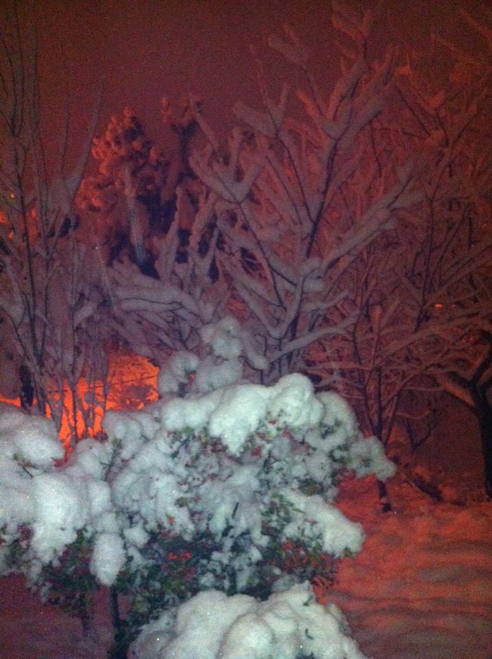 Kocaeli'den kar manzaraları