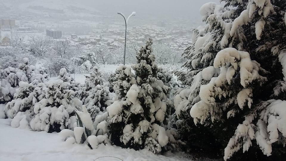 Kocaeli'den kar manzaraları