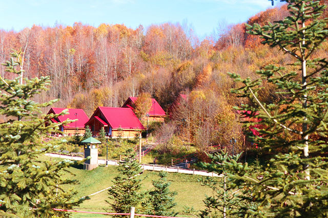 Diriliş Kampları sonbaharda bir başka güzel