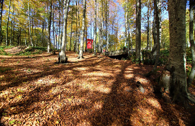 Diriliş Kampları sonbaharda bir başka güzel