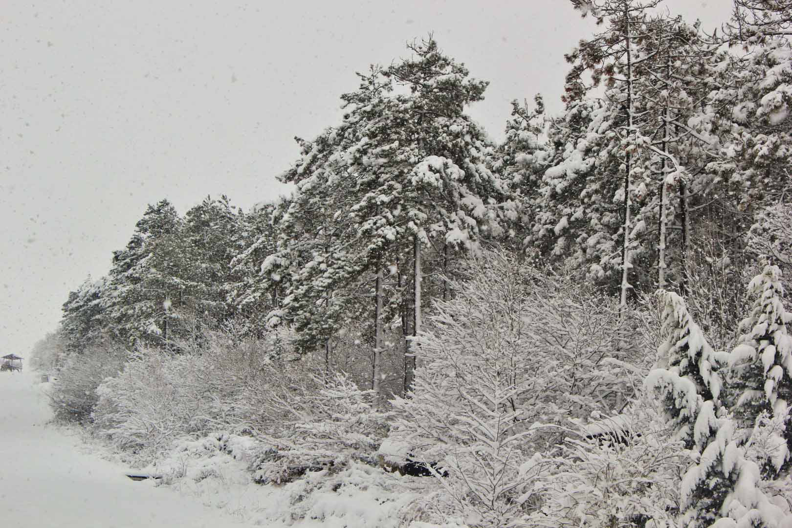KOCAELİ BEYAZA BÜRÜNDÜ